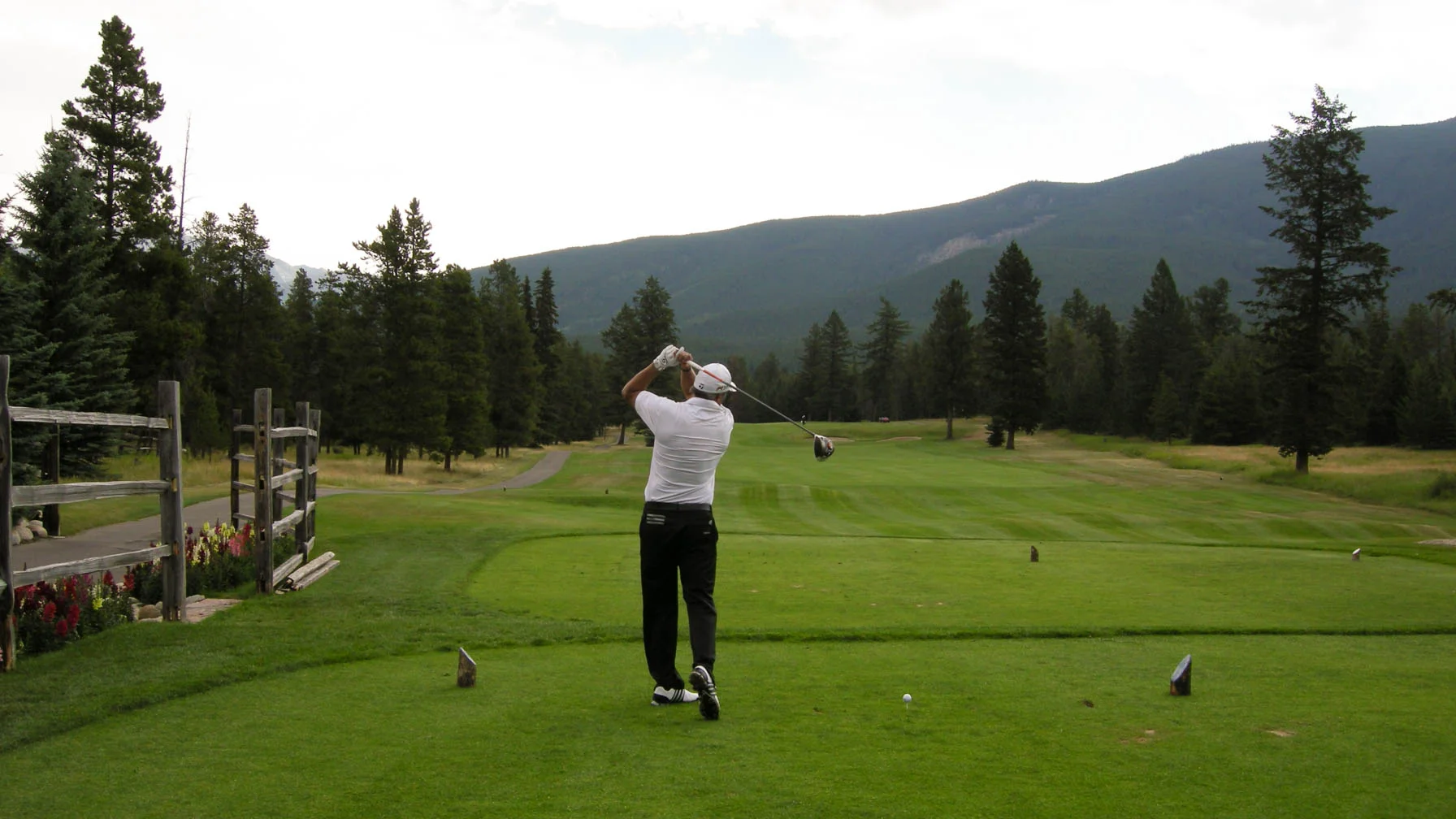 DSCN1205.webp