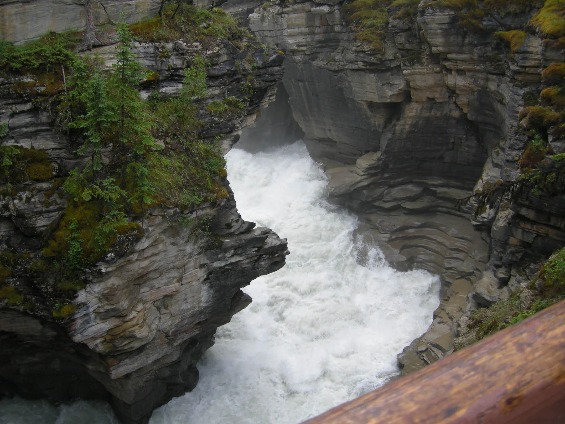 DSCN1294.webp