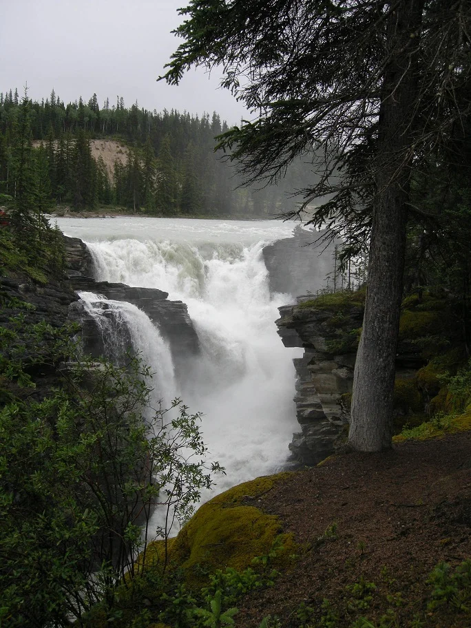 DSCN1300.jpg