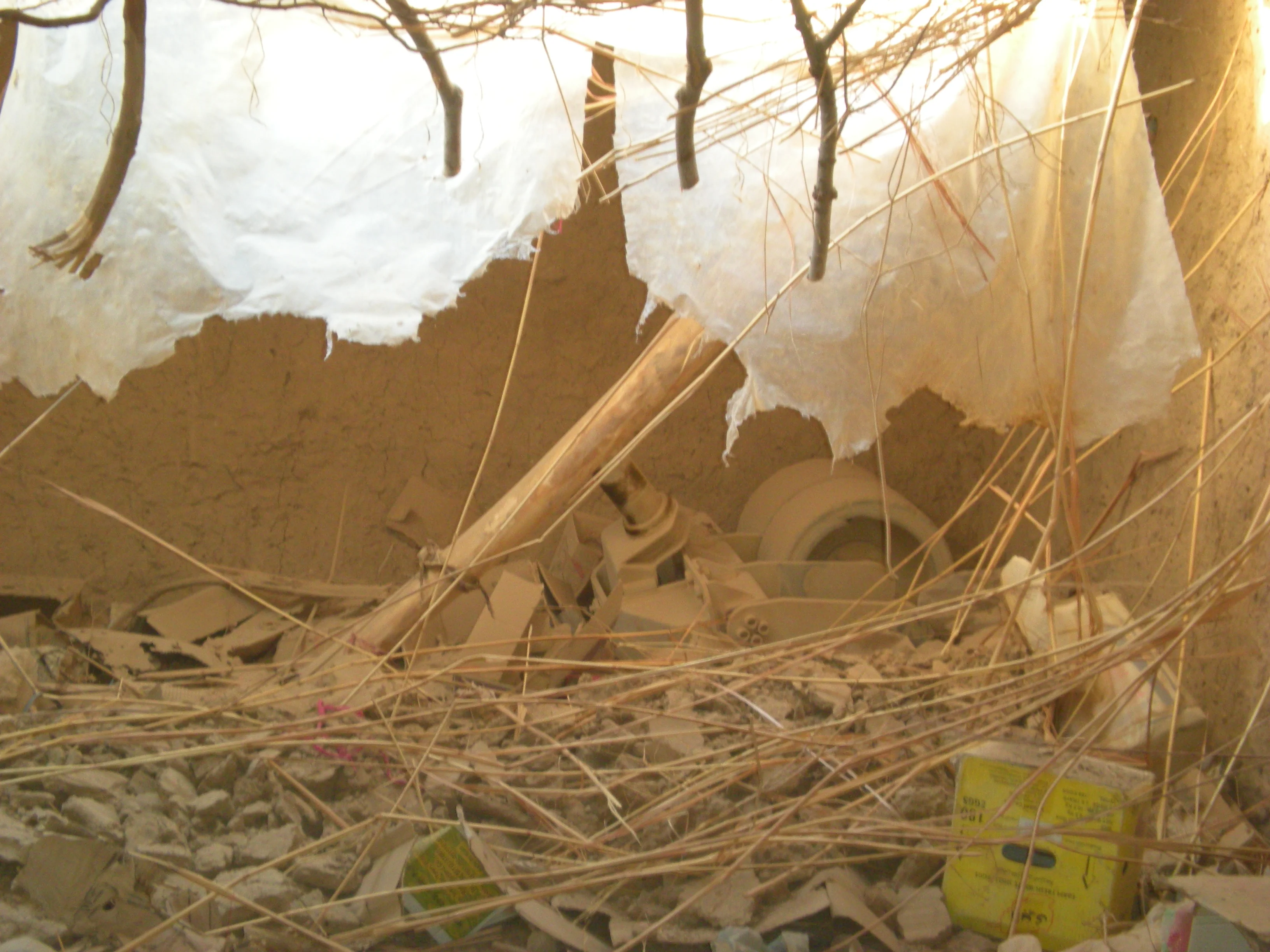 DSCN1389.webp