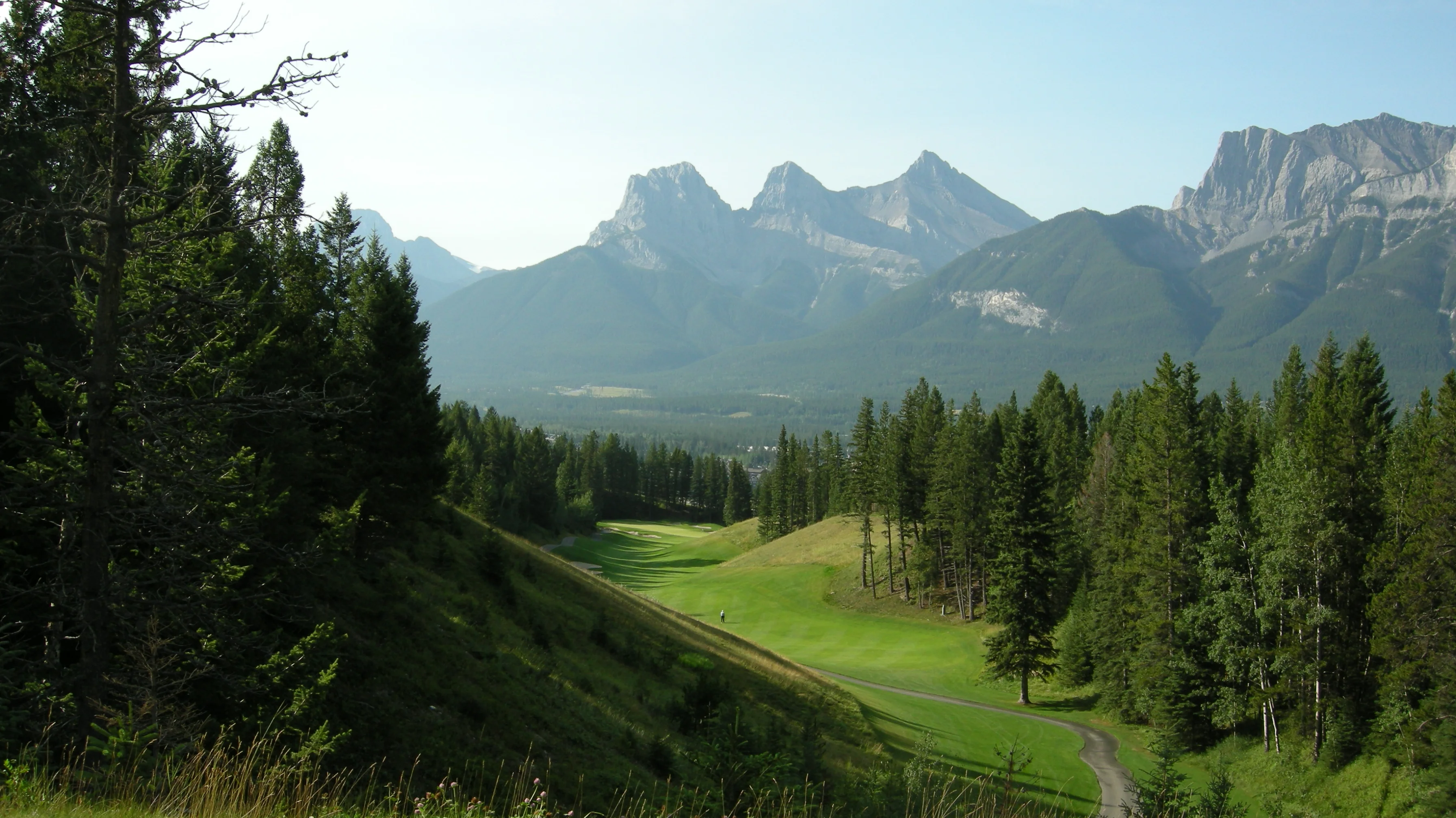 DSCN1586.webp