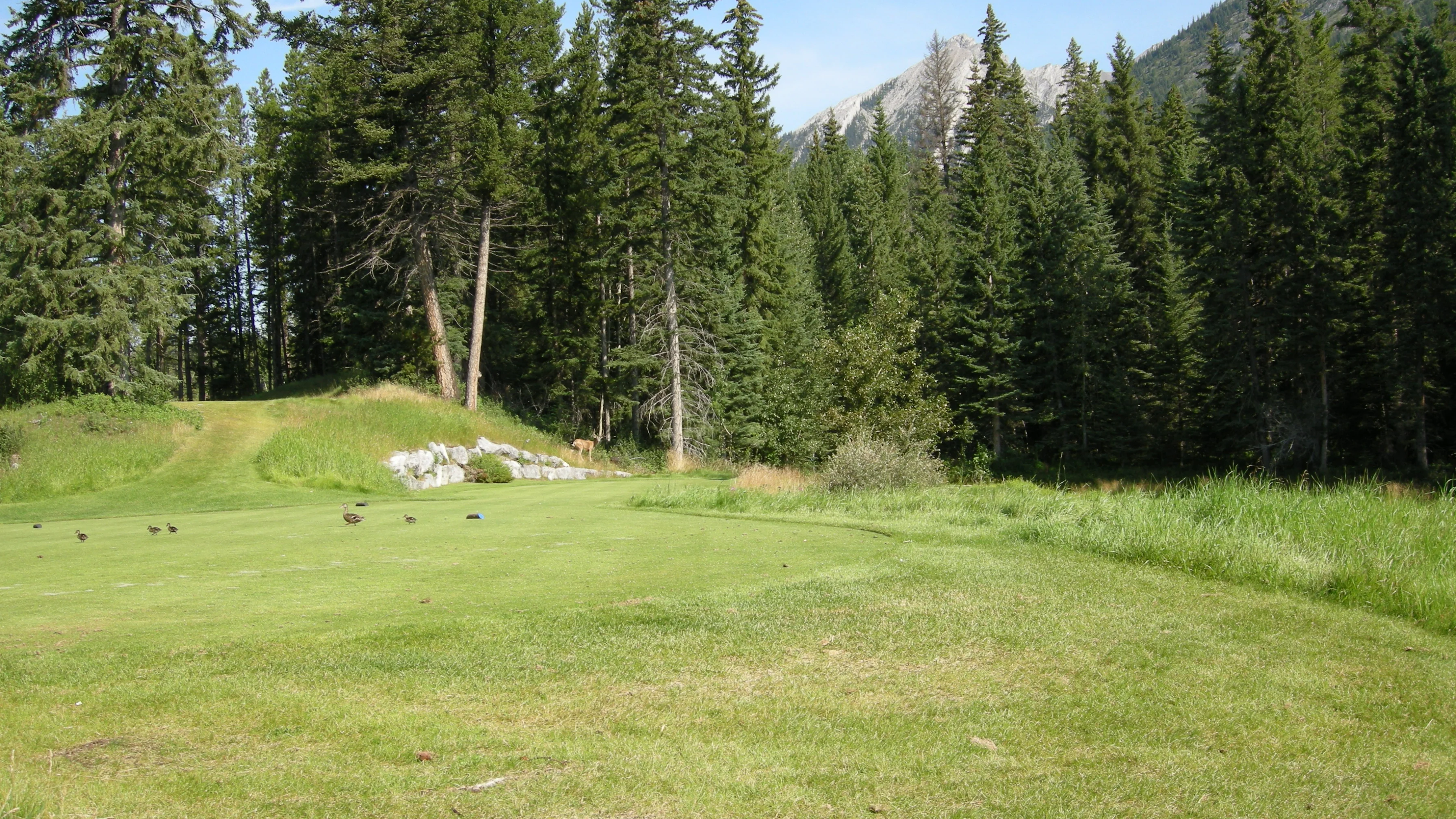 DSCN1599.webp