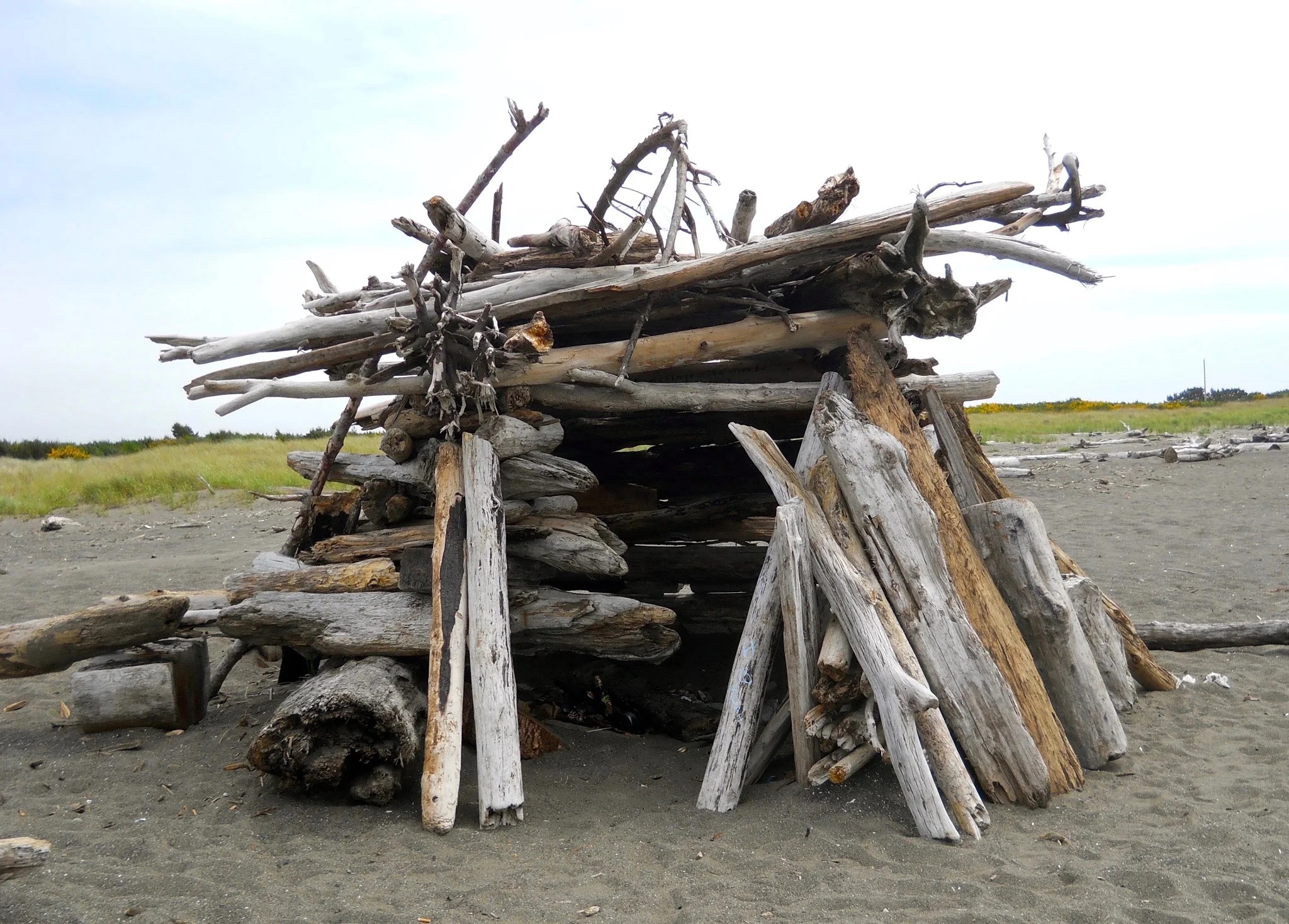 DSCN1607.webp
