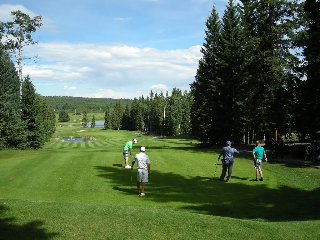 DSCN1710.webp