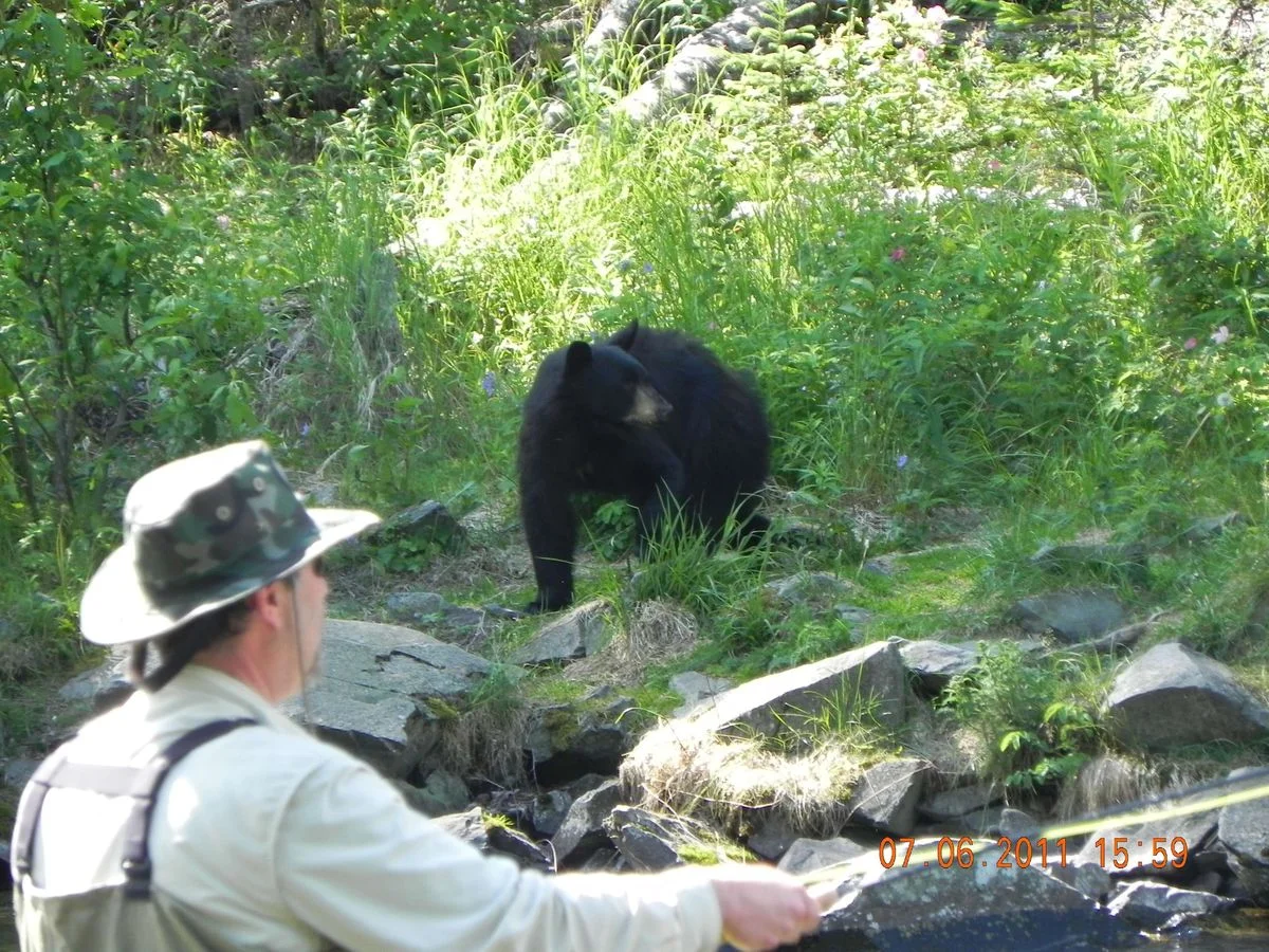 DSCN2154.webp