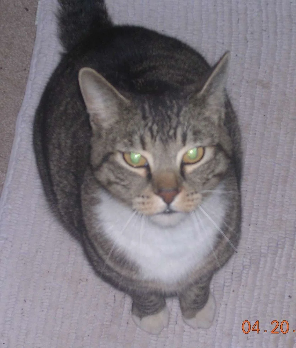 DSCN2303.webp