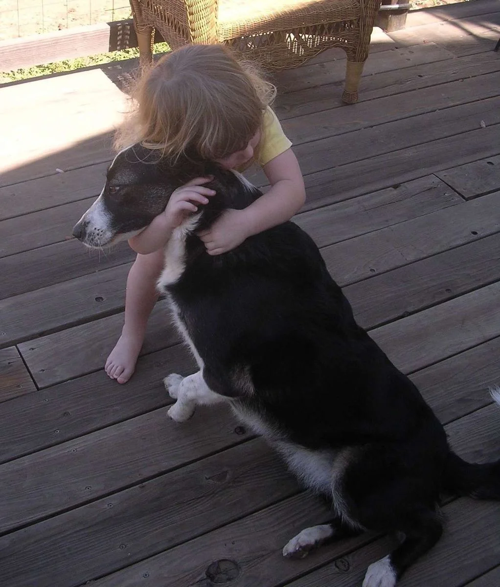DSCN2844.webp