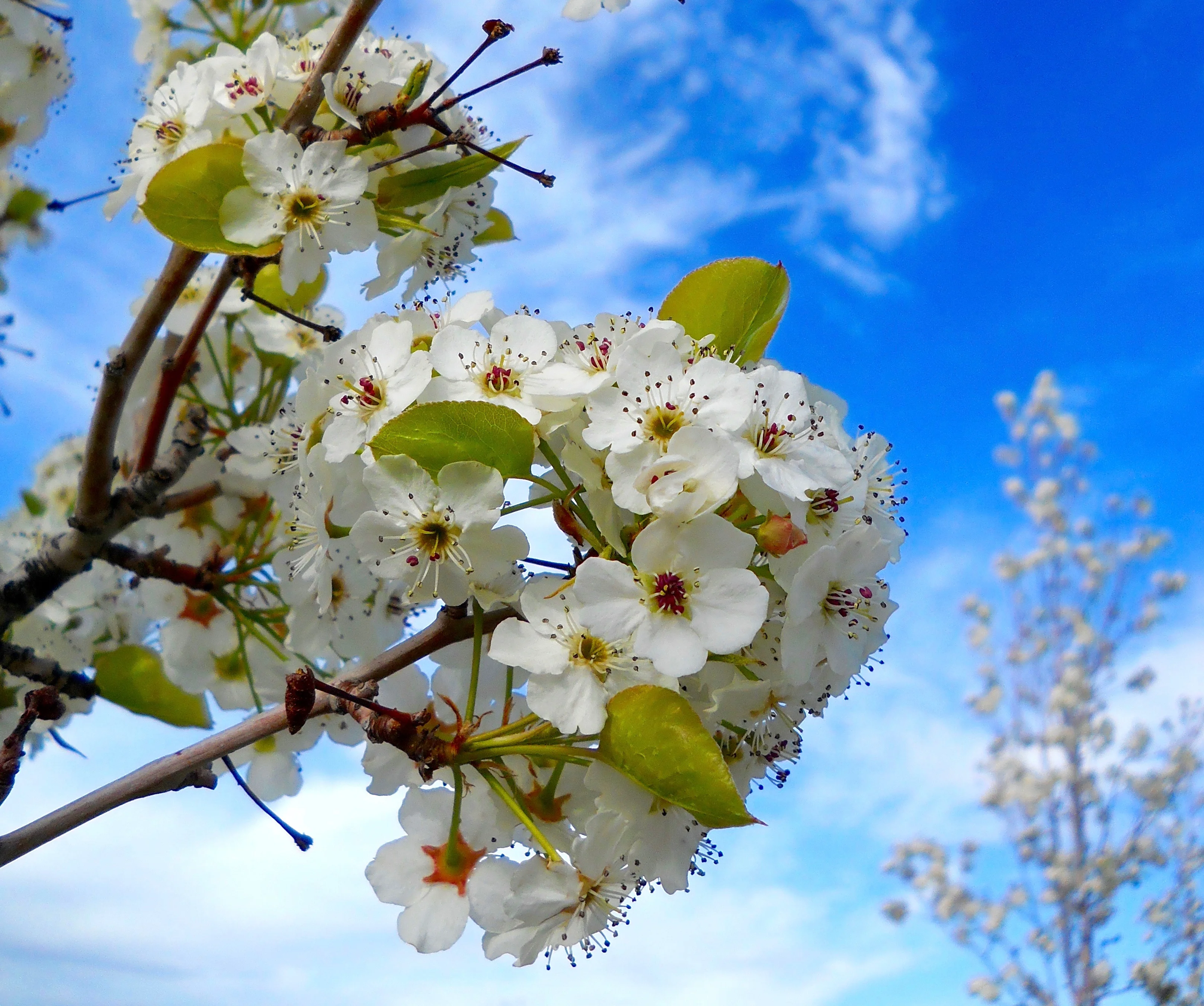 DSCN2891.webp
