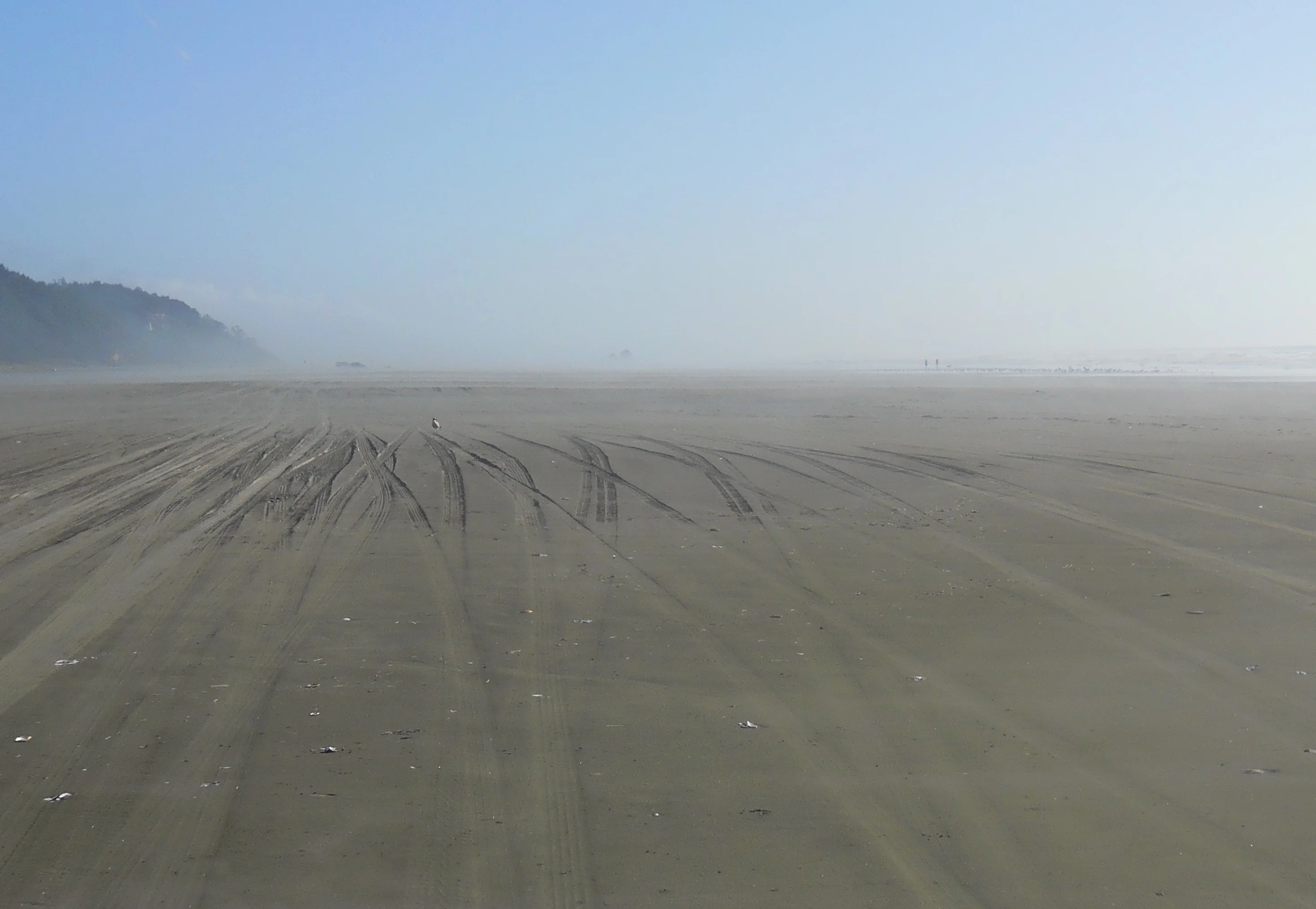 DSCN3371.webp