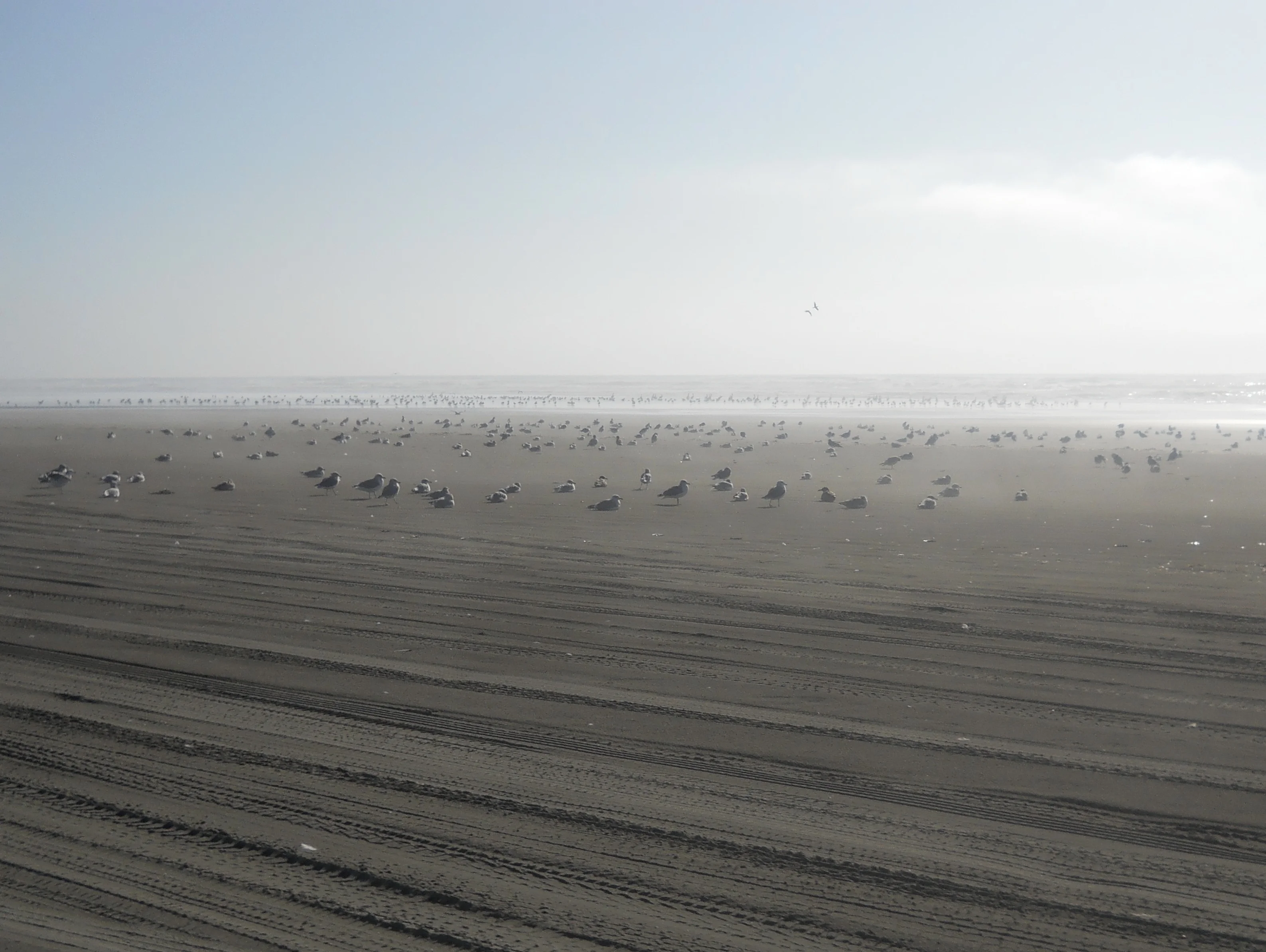 DSCN3377.webp