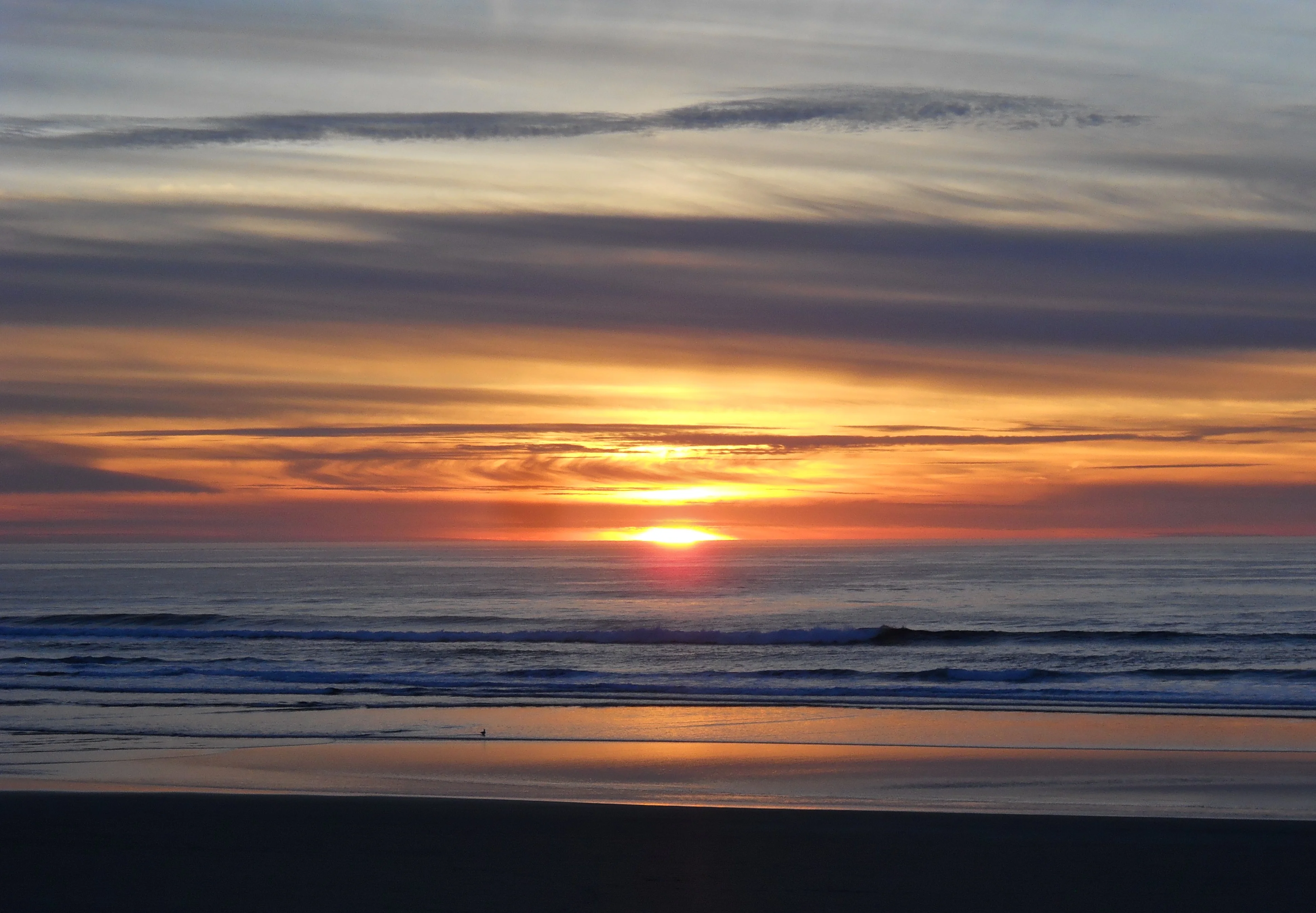 DSCN3934.webp