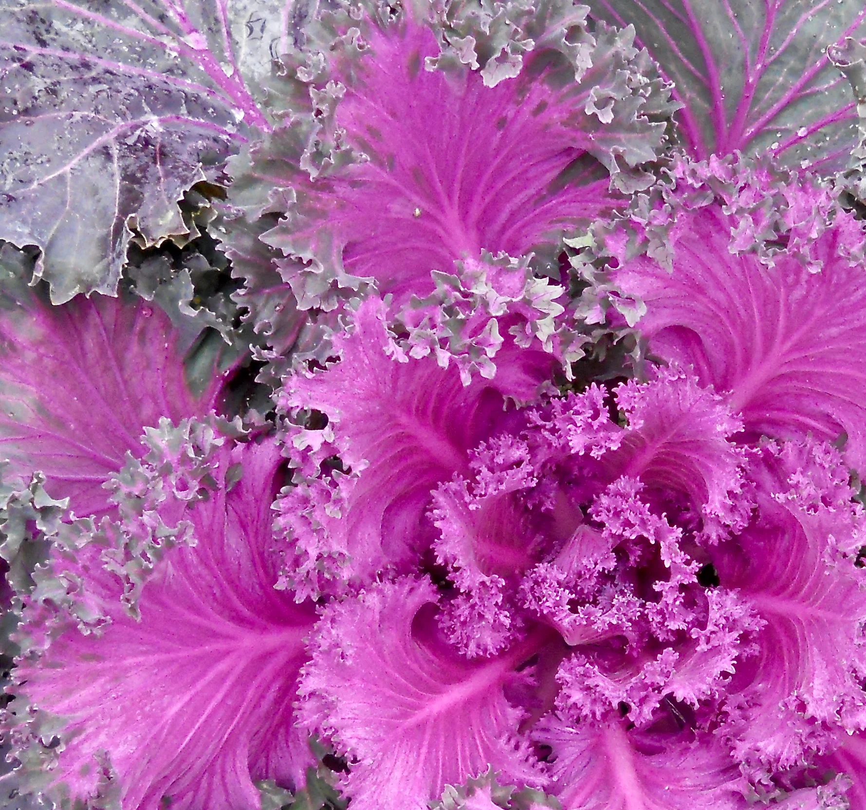 DSCN4043.webp