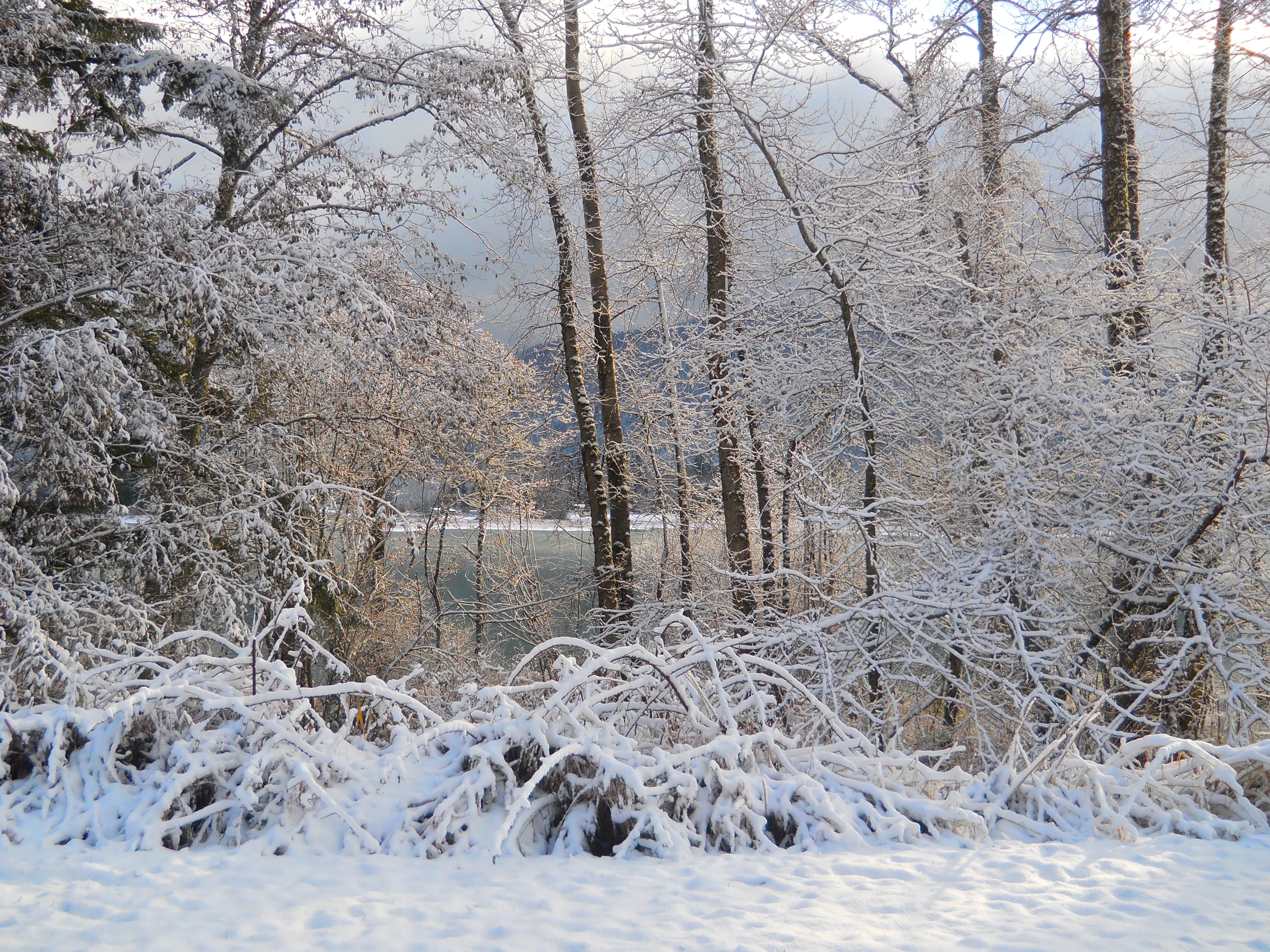 DSCN4188.webp
