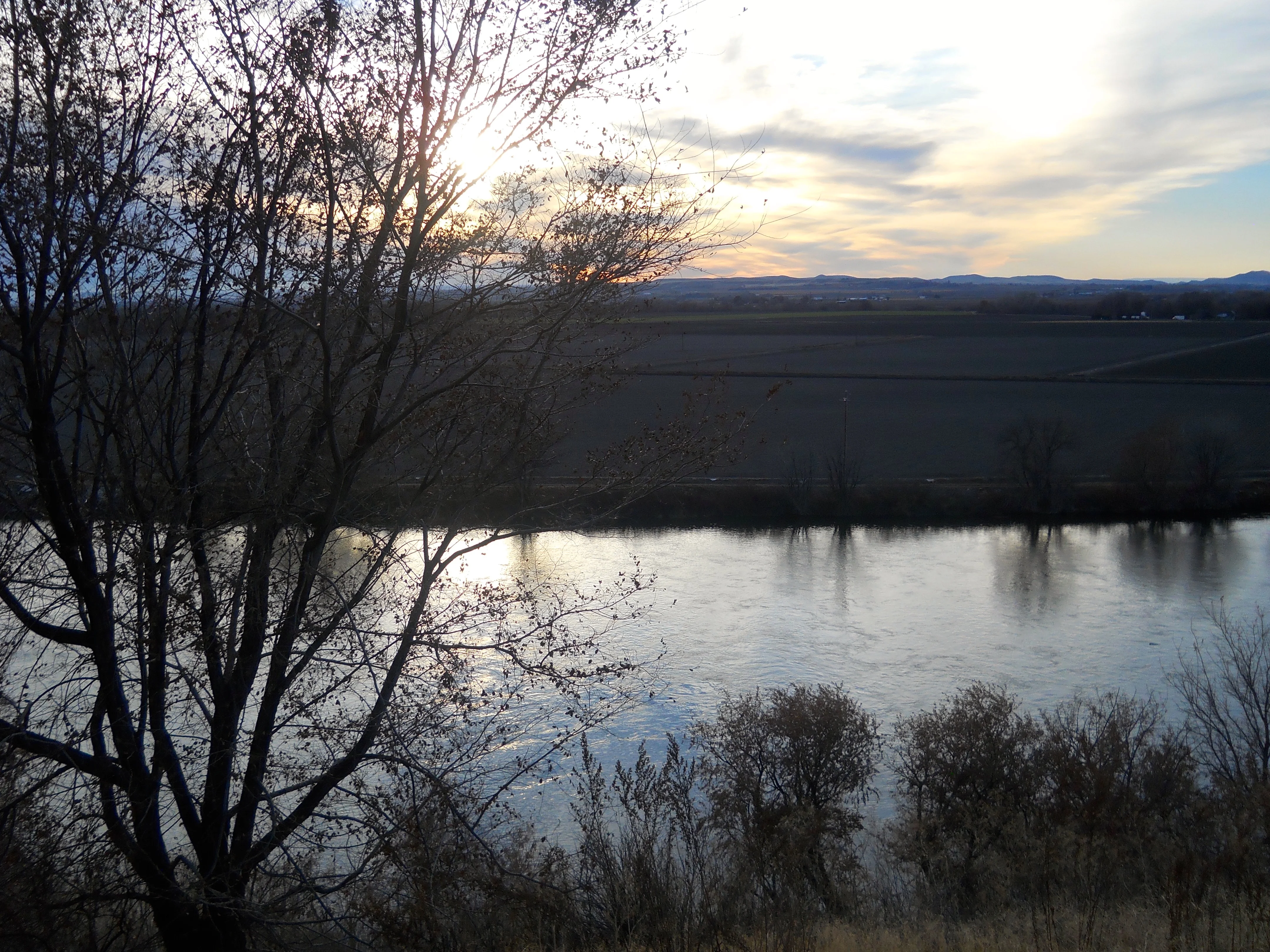 DSCN4299.webp