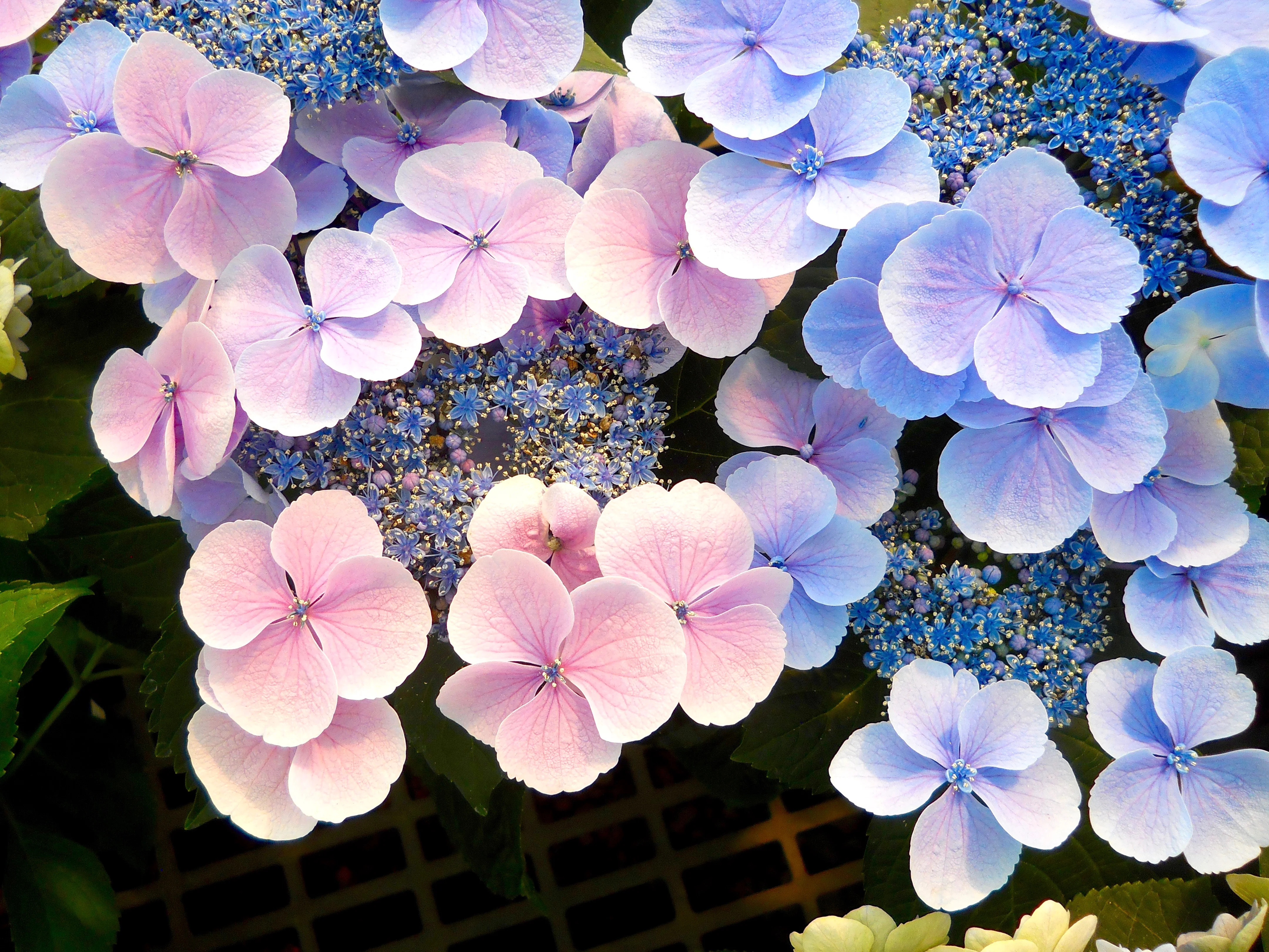 DSCN5142.webp