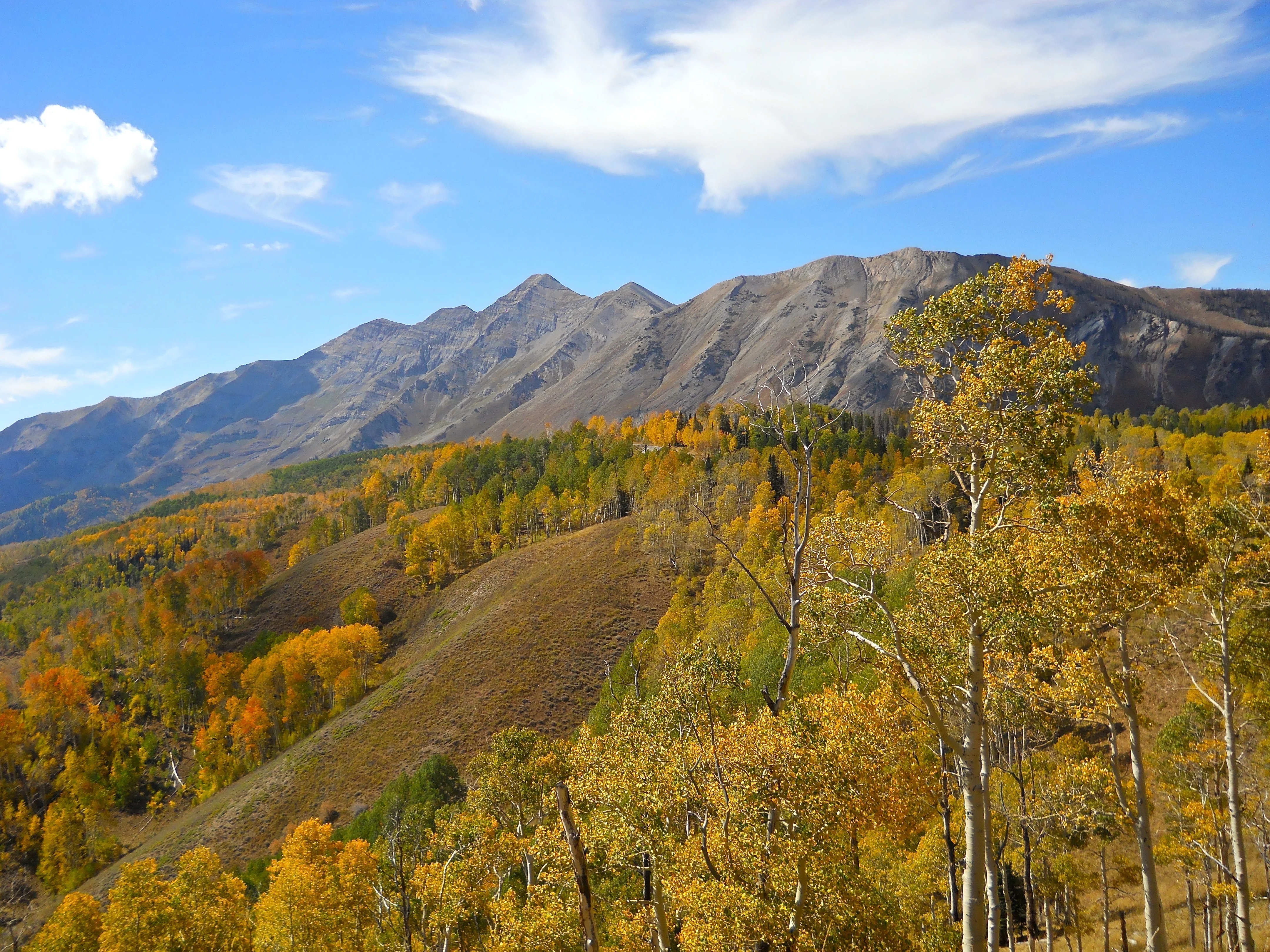 DSCN5455.webp