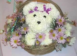 dscn5585.webp