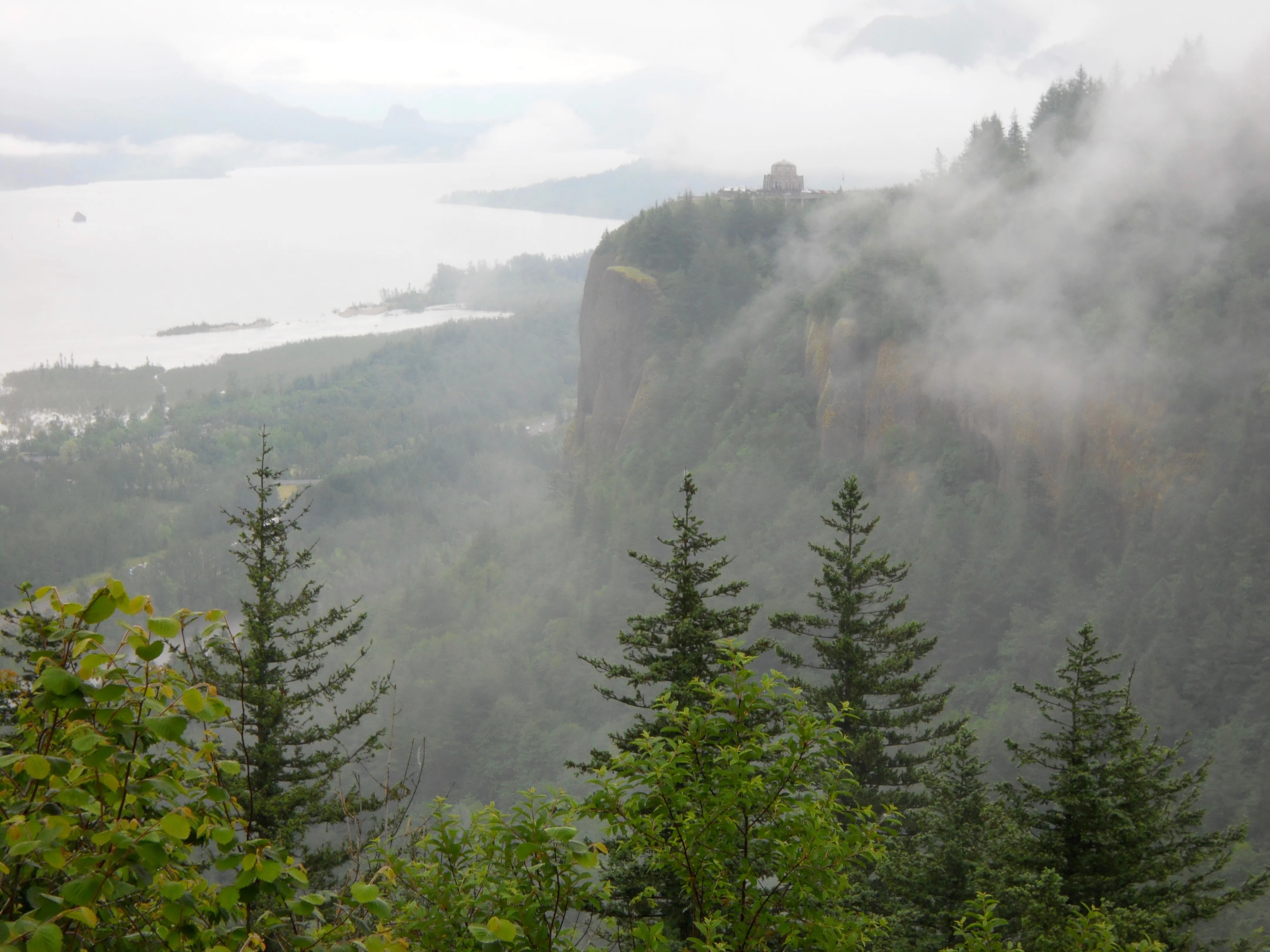 DSCN5918.webp