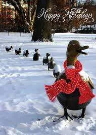 ducks.webp