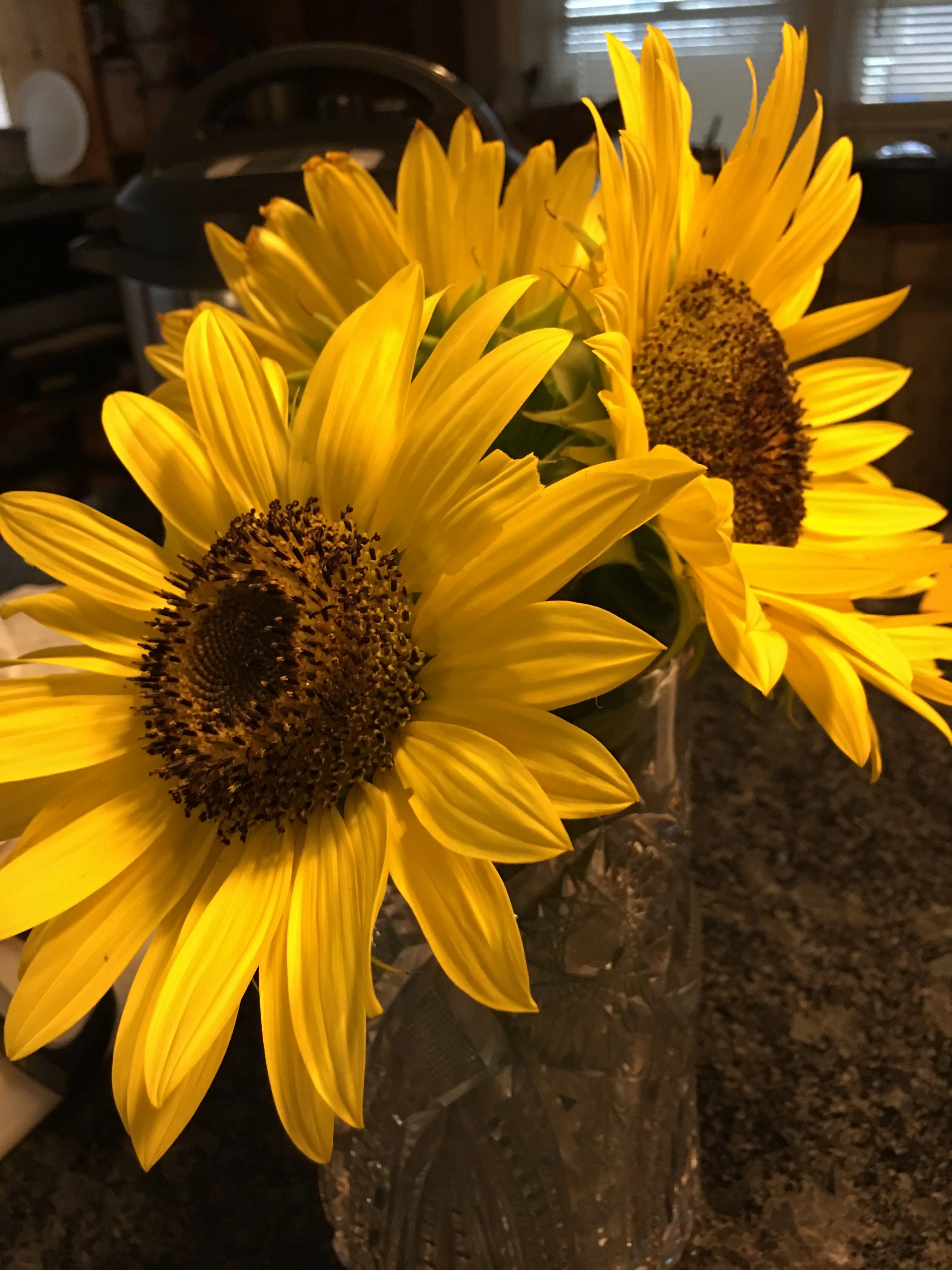 E432C7EA-5974-4F40-9D63-946308CE1727.webp