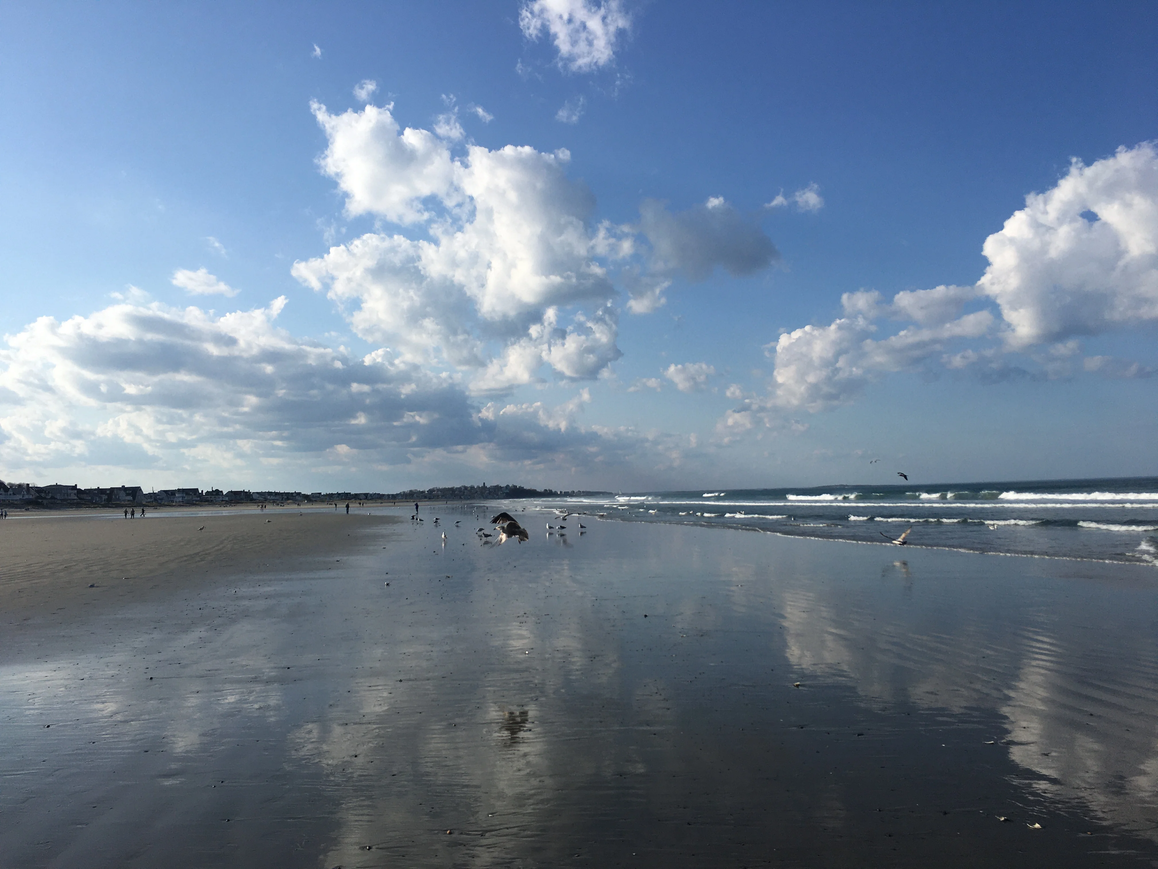 E8EA8653-FF3C-4263-B206-855341C5D777.webp