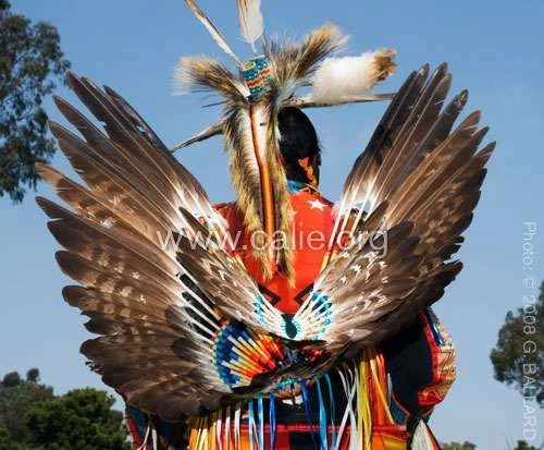 EagleFeather_Bustle.webp