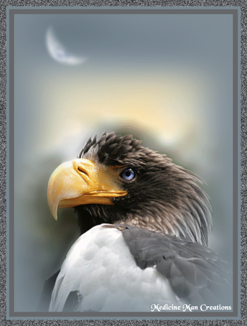 EagleMoon.gif