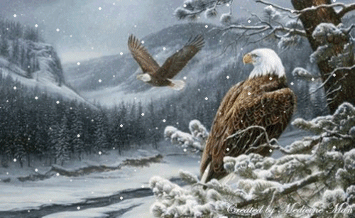 EagleSpirit.gif