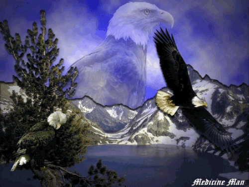 EagleWater.gif
