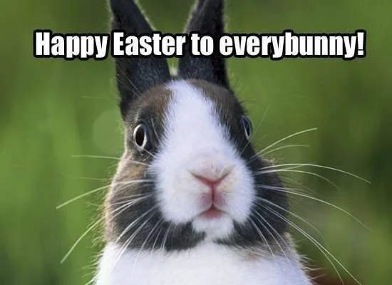 easter-bunny4.webp