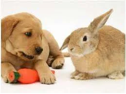 easter_3.webp