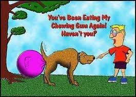 eating my chewing gum.webp