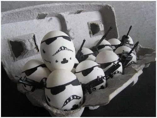 eggs.webp
