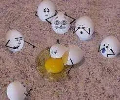 eggs.webp
