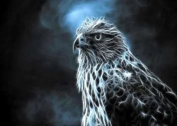 Electric_Hawk_Wallpaper_gwmmn.webp