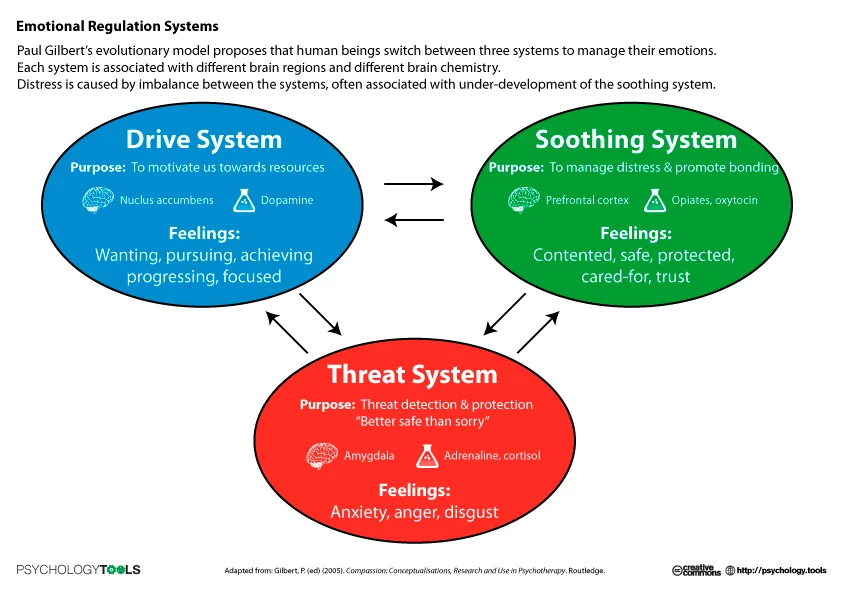 emotional_regulation_systems.webp