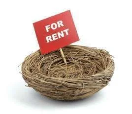 EmptyNest2.webp