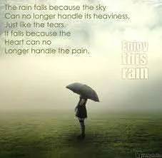Enjoy the rain.webp
