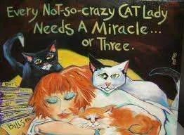 Every not so crazy cat lady.webp