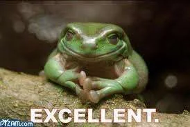 evil frog.webp