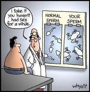 evolved sperm.webp