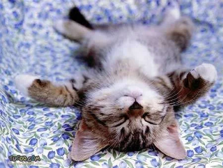 exhausted.webp