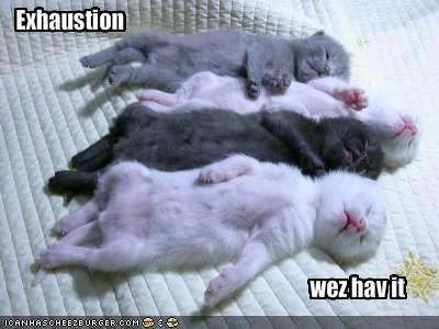 exhaustion.webp