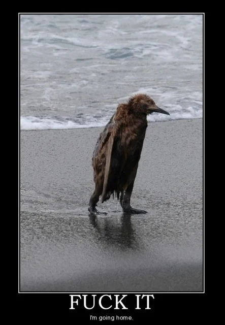 f*ck-it-im-going-home.webp