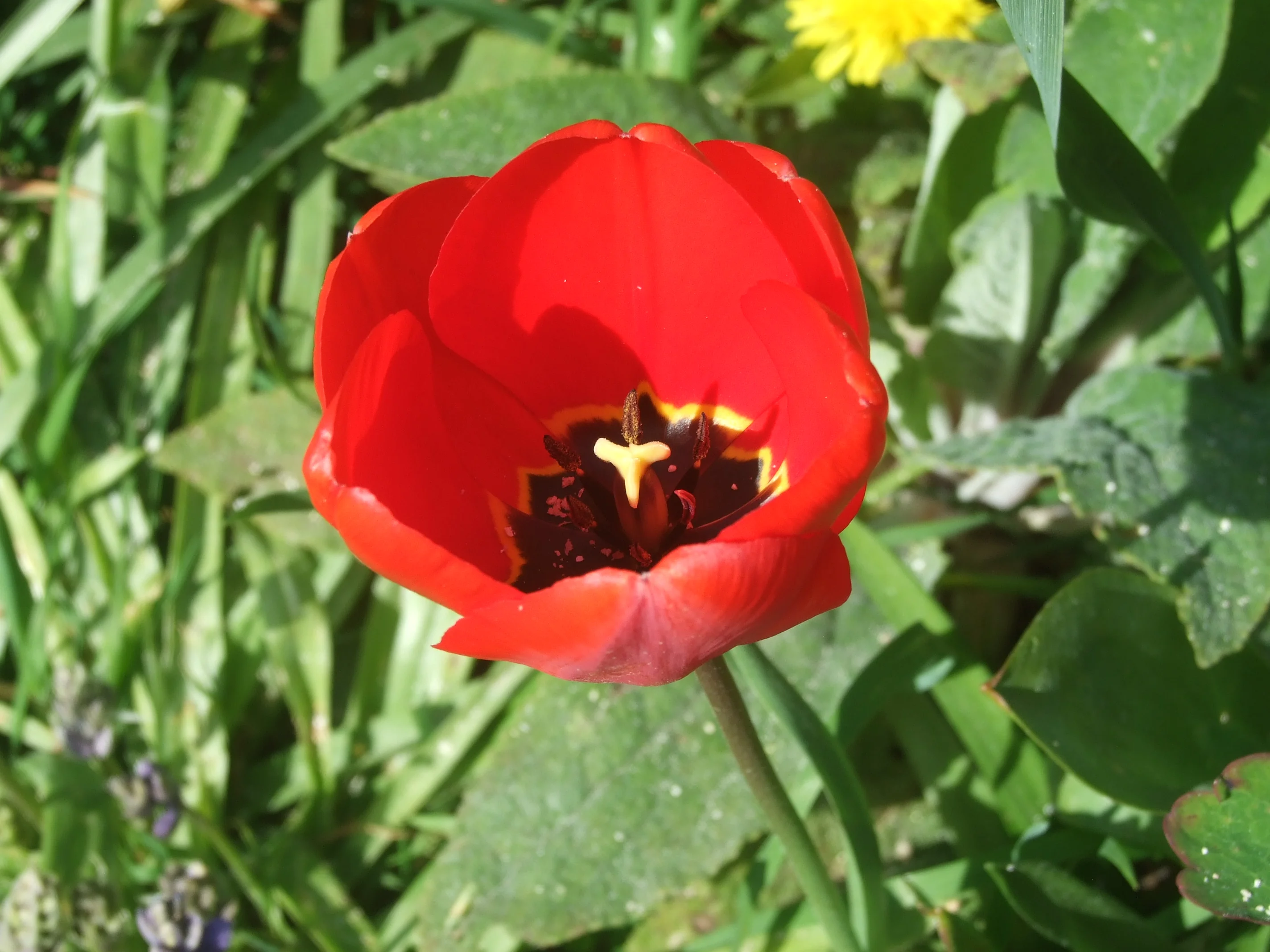 F066373C-9900-4400-B3CF-A3E76581921E.webp