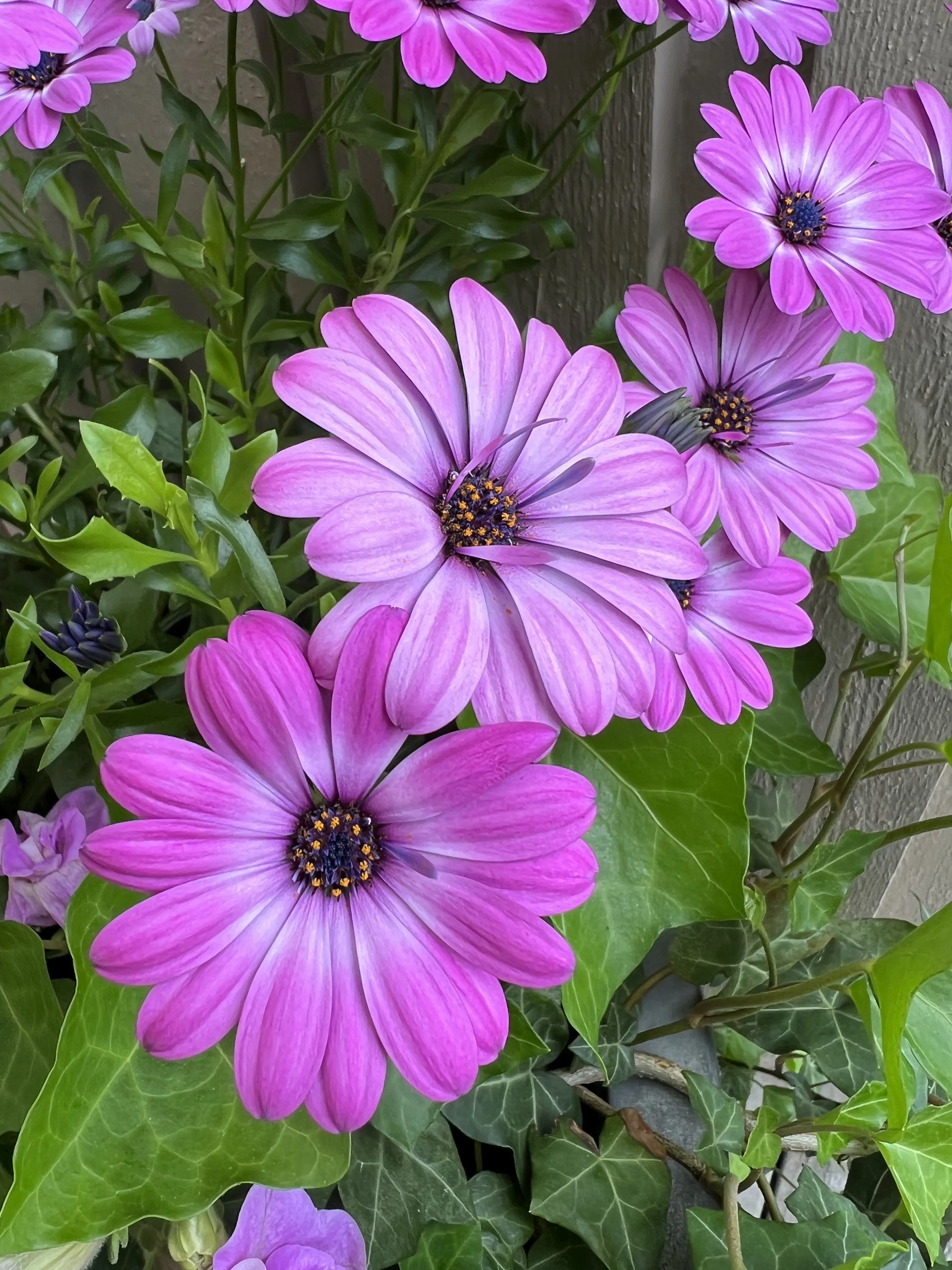 F585C14D-DEF4-4E54-8EE8-C8BDBC9E0755.jpeg