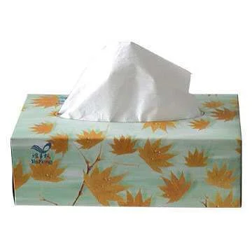 Facial_Tissue_Box2.webp