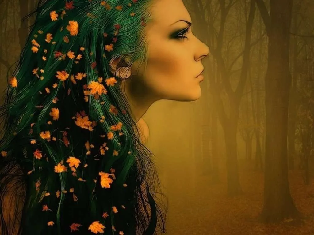 fairy.webp