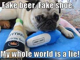 Fake beer, fake shoe.webp