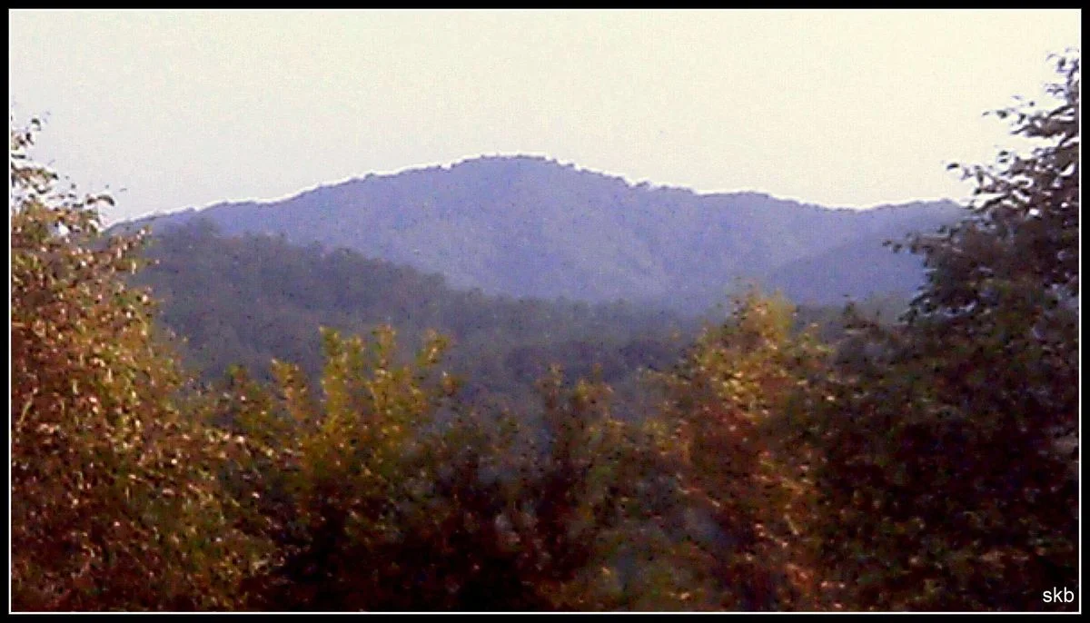 Fall Leaves n Central Mountain.webp